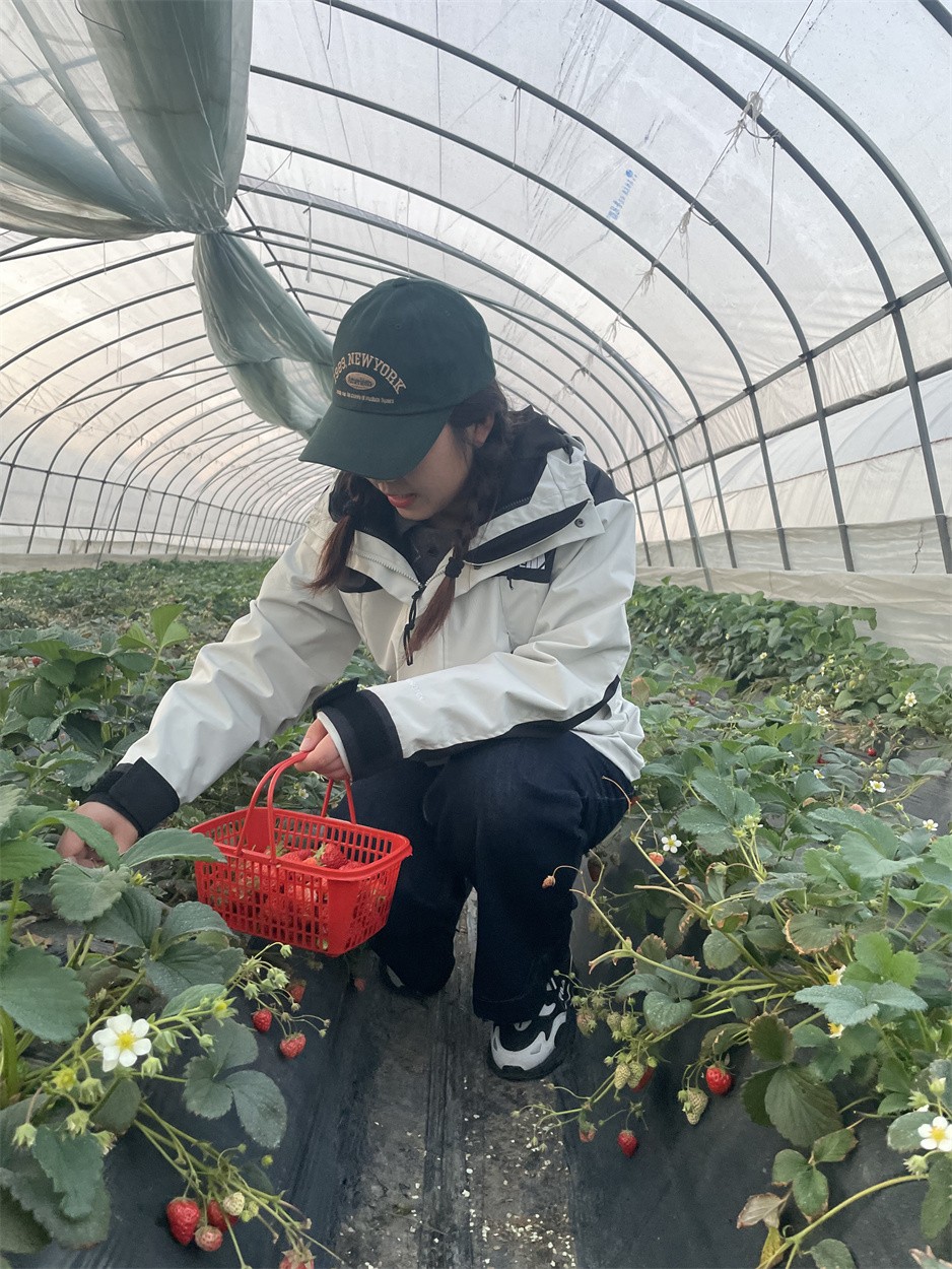 1678763480775100.jpg 6.jpg